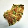 Buy White Buffalo marijuana weed online