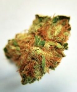 Buy White Buffalo marijuana weed online