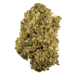 Durban Poison – Mid