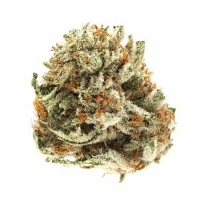 Gelato – Private Reserve