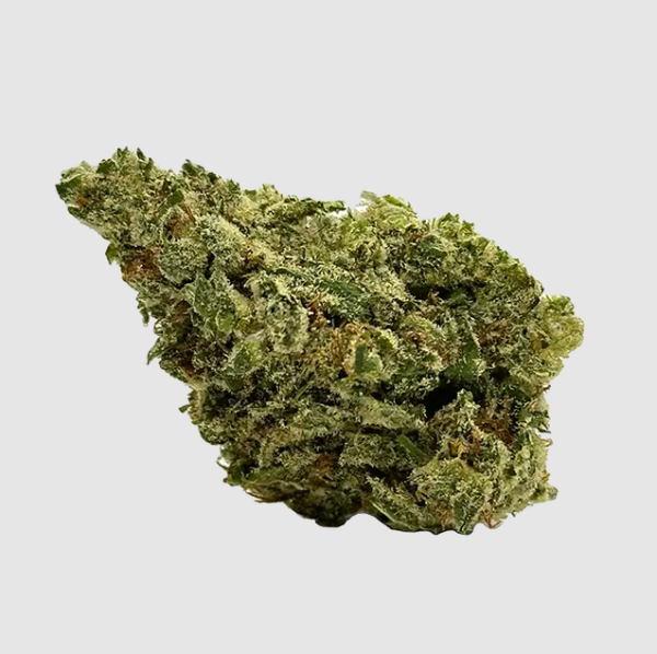 Jack Herer strain is perfect for those looking to boost creativity, focus, and energy, delivering an experience as inspiring and dynamic as its namesake