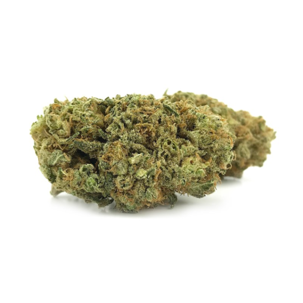 Introducing Juicy Fruit – Mid, a top-tier hybrid weed for those seeking a delightful cannabis experience. Juicy Fruit well-known for its balanced effects and remarkable flavor profile.