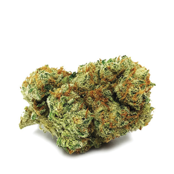 Step into the world of premium cannabis with Jungle Cake – Top, a hybrid strain renowned for its exquisite balance of indica and sativa genetics.