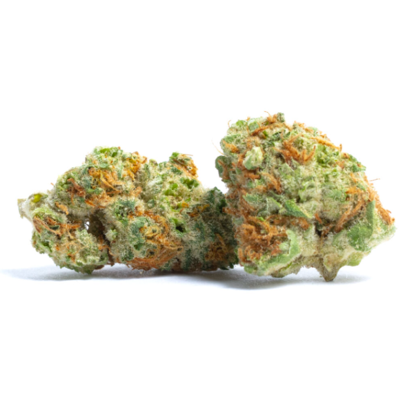 Elevate Your Experience with Papaya Punch Private Reserve, a luxurious hybrid weed meticulously crafted by blending the exotic Papaya with the robust