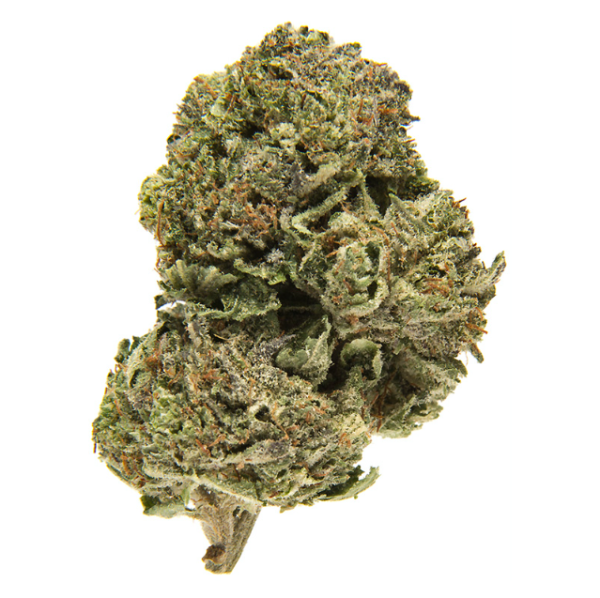 Discover the transformative experience of Platinum Bubba – Top, a premier strain of cannabis renowned for its unparalleled potency and therapeutic prowess.