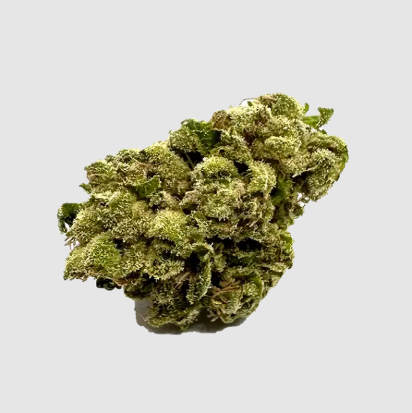 Embark on an extraordinary adventure with Platinum OG, a prestigious indica-dominant strain that is a jewel in the cannabis industry. Experience Platinum OG