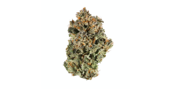 Introducing Sunset Sherbert Private Reserve, an exceptional premium cannabis strain renowned for its exquisite flavor, captivating aroma, and transformative effects.