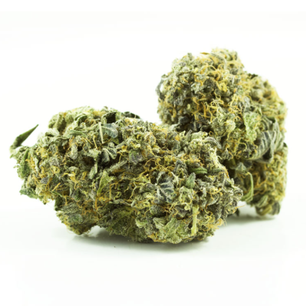 Experience the unique White Truffle strain, renowned for its rich flavors and relaxing effects. Perfect for both novice and seasoned users, explore its